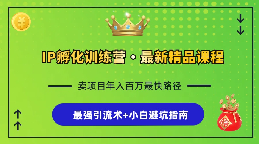 （13055章）IP孵化训练营，知识付费全流程+最强引流术+小白避坑指南